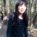야수타라프로헤어