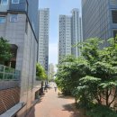 구갈지구대 사거리(더��) 네이버블로그