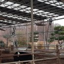 희둘영목장 이미지