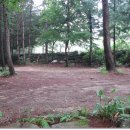 주은 자연휴양림 이미지