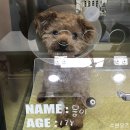 신동동물병원 이미지