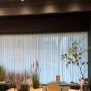 드라마성형외과의원 - 강남구 강남대로 560 | 드라마성형외과의원