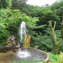 오전약수관광지 이미지