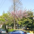 유신공원 이미지