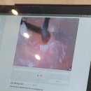 두피사랑문래