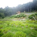 하남목장(주) | 남양주 수목장의 서울 접근성과 현실적 선택 이유