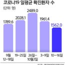 2030 백신 접종 효과… 확진 추이 하향세 이미지