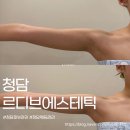 르디브