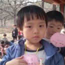 다연유치원 이미지