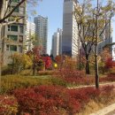 에코메트로6단지 이미지