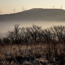 새벽목장 이미지