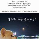 서연네일 네이버블로그