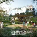 보성초신평분교장 이미지