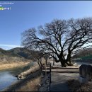 조광정 네이버블로그
