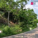토지 【함평군임야】함평군 학교면 월산리 임야 매매합니다. 이미지