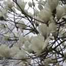 온달농장 이미지