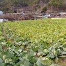 금봉촌경로당 이미지