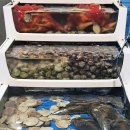 함양수산 | 군산 맛집 추천, 여행, 인생여정의 군산 신선횟집과 호텔 카몬 방문 솔직 후기