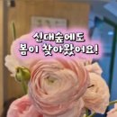 신대숲음악학원 이미지