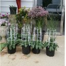 플라워&홈가드닝 이미지