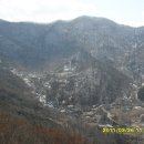 인터넷짱 이미지