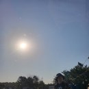 몽산포오션캠핑장 솔직후기 넓고 깨끗한캠핑장이라 가족캠핑지, 단체캠핑지로 추천