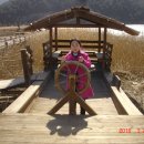 묘도초등학교 이미지