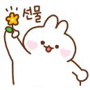 고품달 이미지