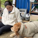 숙명여자대학교 국제관계대학원 | 박인비 남편 프로필 딸 출산 집 재산 둘째 나이 은퇴