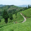 고사리 쉼터 이미지