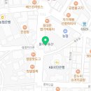 구영 고양이 무마취 미용 이미지