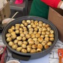 부안 기러기 농장2 | 부안 개암사 개암동 벚꽃 축제 실시간 전북 여행 명소