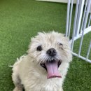 하이파이브 독스 이미지