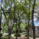 상계숲속작은도서관 | <상계숲속작은도서관북카페> 🌳