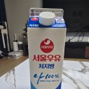 요대로 | 내돈내산 요거지니 그릭요거트 찐 사용후기🧈(+사용법)