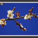 백운장목욕탕 이미지