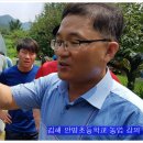 안명초등학교 Daum카페