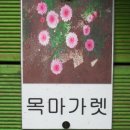 회기어린이집 이미지