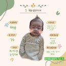 콩자야노래연습장 | 애둘 육아일기 3. 4인가족 적응 중 (feat. 29개월&amp; 2개월)