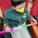 코바코홀(Kobaco Hall) | [목동] 한국방송회관 코바코홀: 매직캣츠 마술 고양이 (온가족이 즐기는 환상적인 공연)