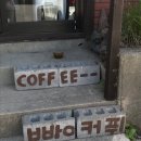 다니쉬