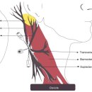 신농씨한의원 이미지