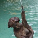 꾸리찌바 이미지