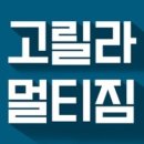 고릴라 멀티짐 이미지