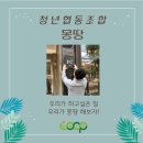 청년협동조합몽땅