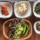 머물다정식