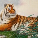 건강과약초 이미지