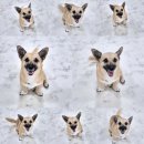 개스트룸 이미지