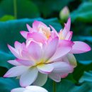 고령사회의 민낯 이미지