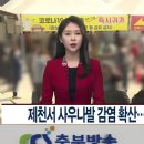 사우로 R 이미지